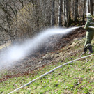 Brand Buchboden07.jpg