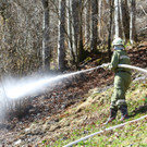 Brand Buchboden08.jpg