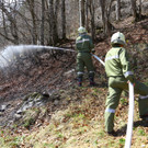 Brand Buchboden04.jpg