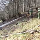 Brand Buchboden05.jpg