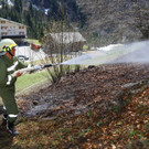 Brand Buchboden02.jpg