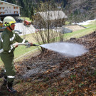 Brand Buchboden01.jpg
