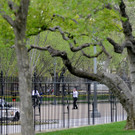 IBD0853-20130415.jpg