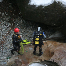 normal_260210suchegasteingmaktivnews_20_40_.jpg