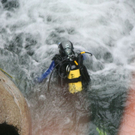 normal_260210suchegasteingmaktivnews_20_51_.jpg