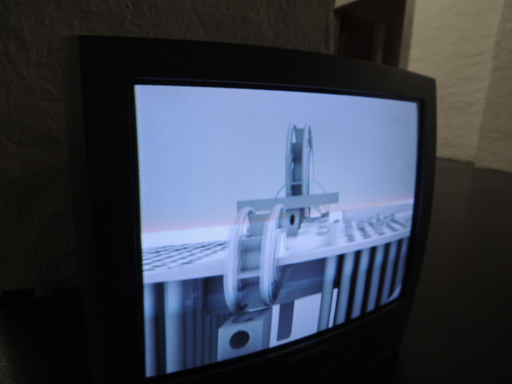 DSCN2135_JPG-1366064947