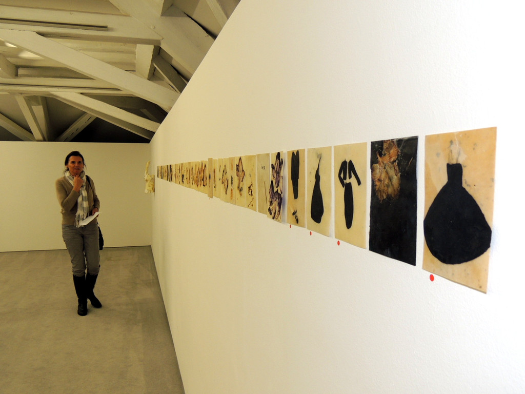 DSCN2257_JPG-1366065087