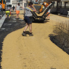 DSCN4657_JPG-1366066876