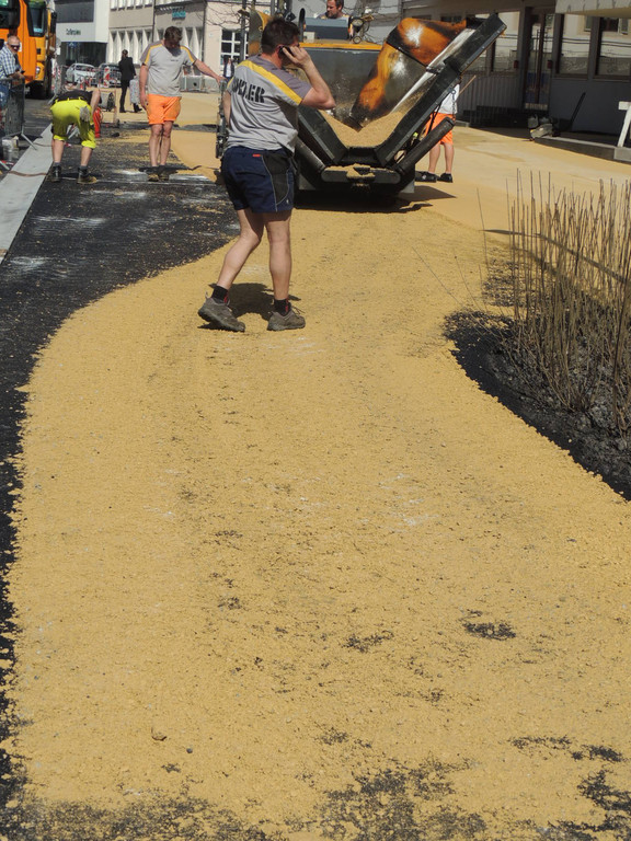 DSCN4657_JPG-1366066876