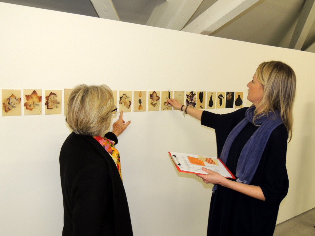 DSCN2249_JPG-1366068134