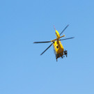 IMG_9559.jpg