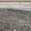 DSC_0002_JPG-1366095649.jpg