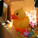 IMG_7073_JPG-1366104536