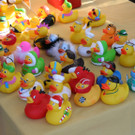IMG_7077_JPG-1366104542