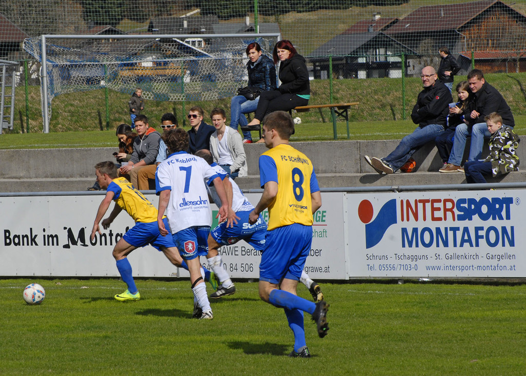 _c_ Gerhard Scopoli - 2013-04-13 - 079.jpg