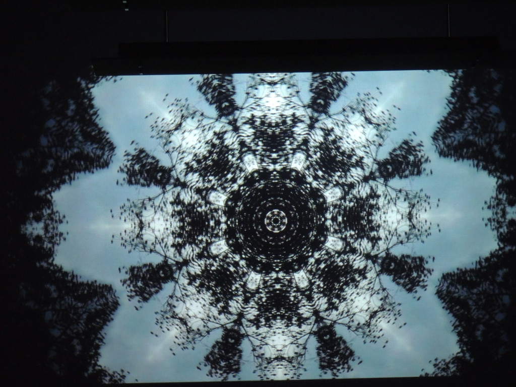 DSCN4453_JPG-1366147025