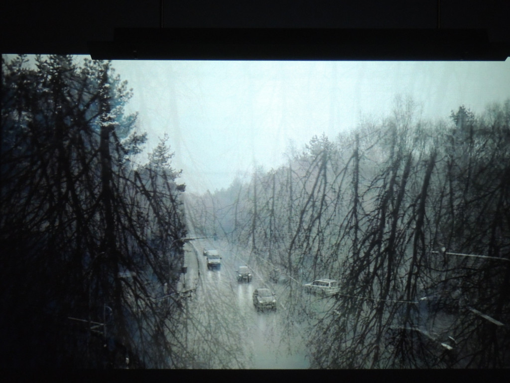 DSCN4447_JPG-1366147020