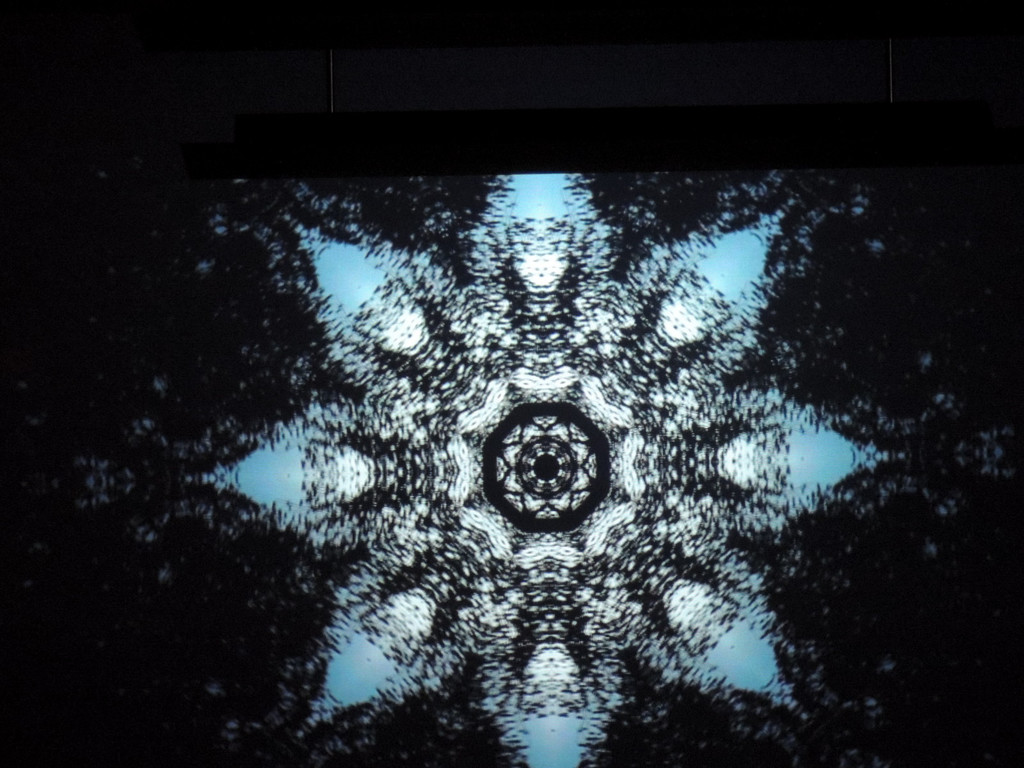 DSCN4454_JPG-1366147029