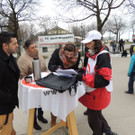 DSCN1228_JPG-1366149088