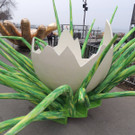 DSCN9491_JPG-1366153292