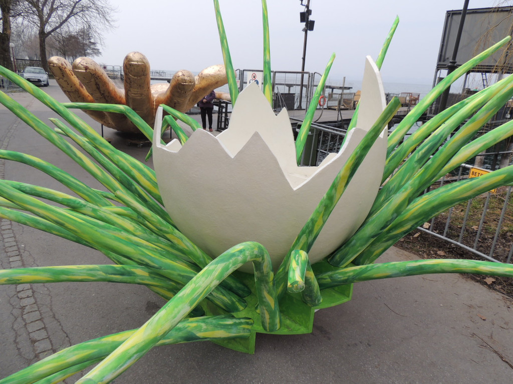 DSCN9491_JPG-1366153292