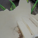 DSCN9492_JPG-1366153296