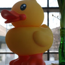 IMG_7040_JPG-1366185715