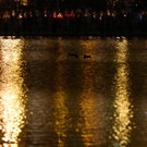 IBD0093-20130417.jpg