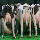 ABD0015-20130415.jpg