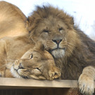 ABD0026-20130410.jpg