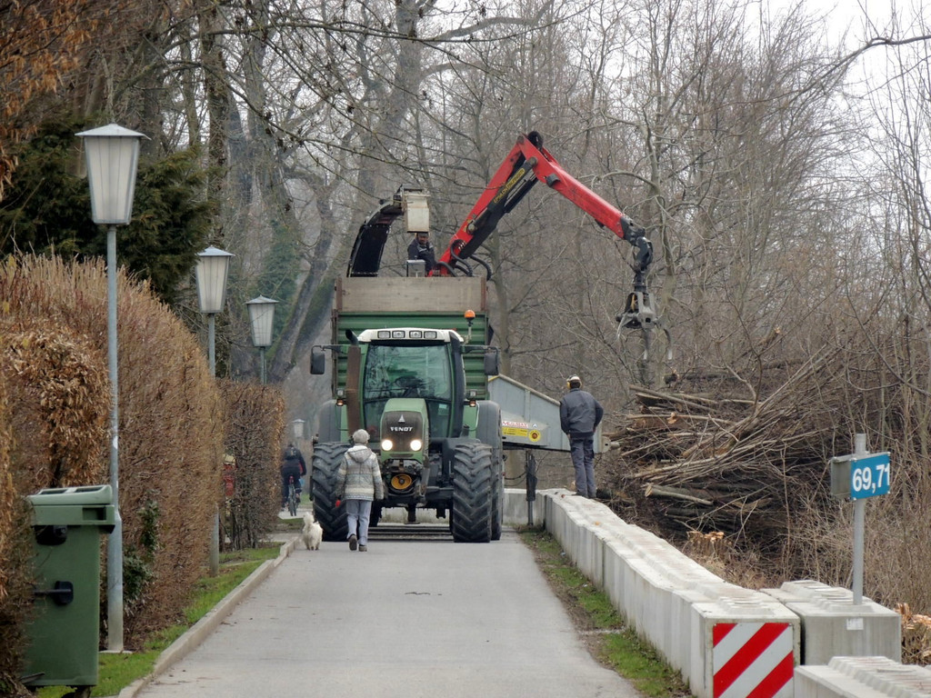 DSCN8086_JPG-1366236986