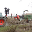 DSCN8104_JPG-1366237019