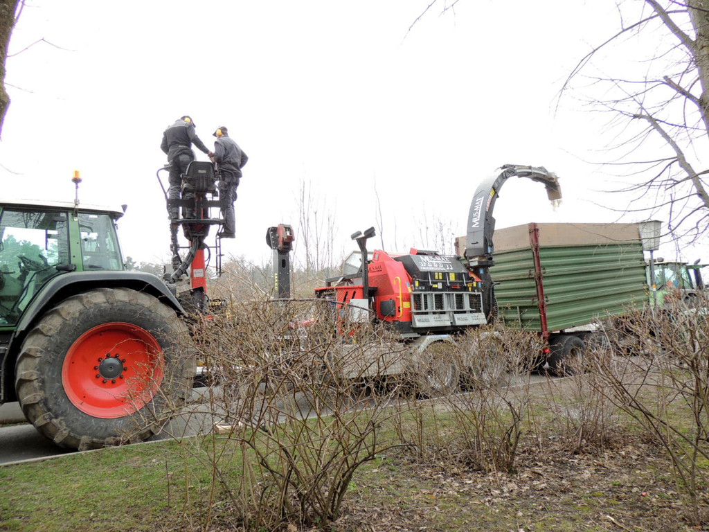 DSCN8104_JPG-1366237019