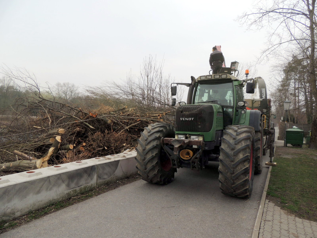 DSCN8090_JPG-1366236989