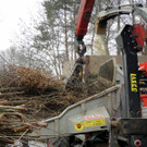 DSCN8100_JPG-1366237012