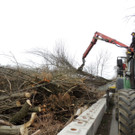 DSCN8092_JPG-1366236993