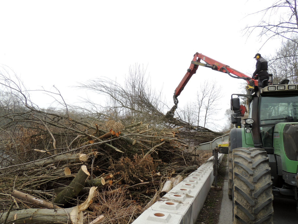 DSCN8092_JPG-1366236993