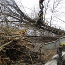 DSCN8094_JPG-1366236996