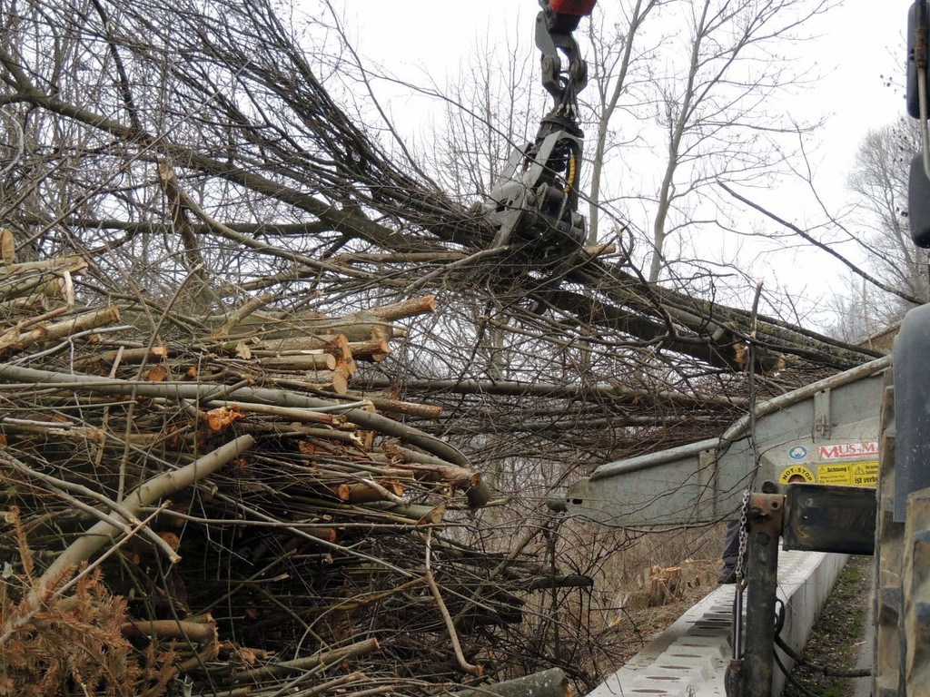 DSCN8094_JPG-1366236996