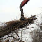 DSCN8099_JPG-1366237008