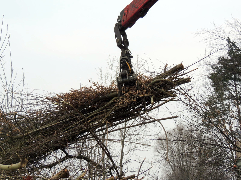 DSCN8099_JPG-1366237008