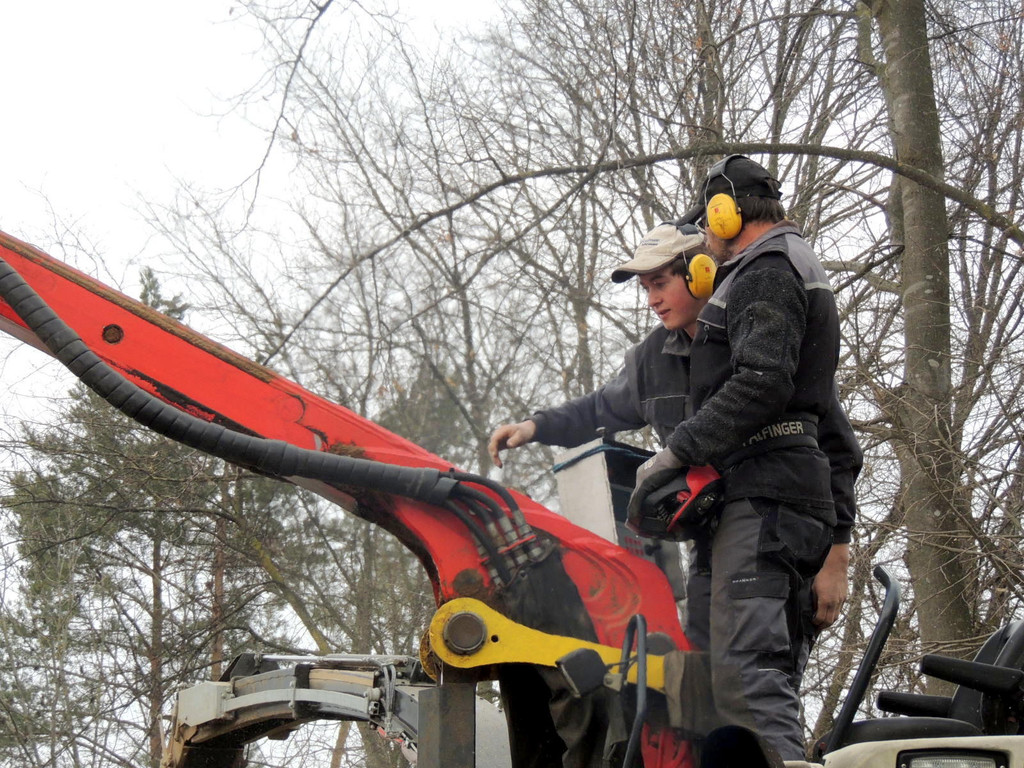 DSCN8103_JPG-1366237016