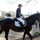 DSCN3204_JPG-1366237995