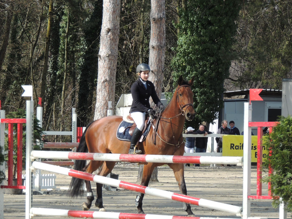 DSCN3205_JPG-1366237999