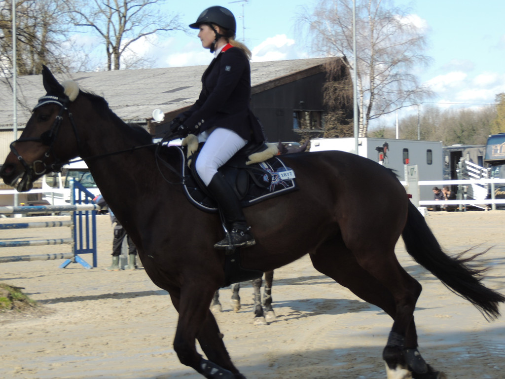 DSCN3209_JPG-1366238010