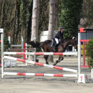 DSCN3212_JPG-1366238015