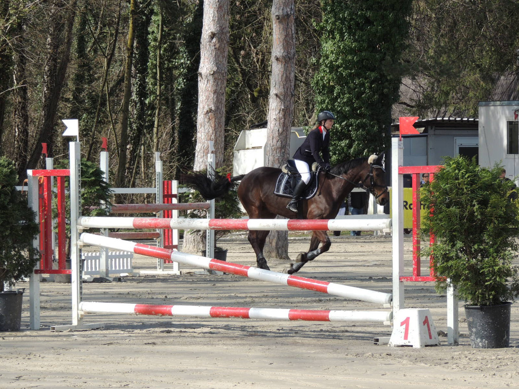 DSCN3212_JPG-1366238015