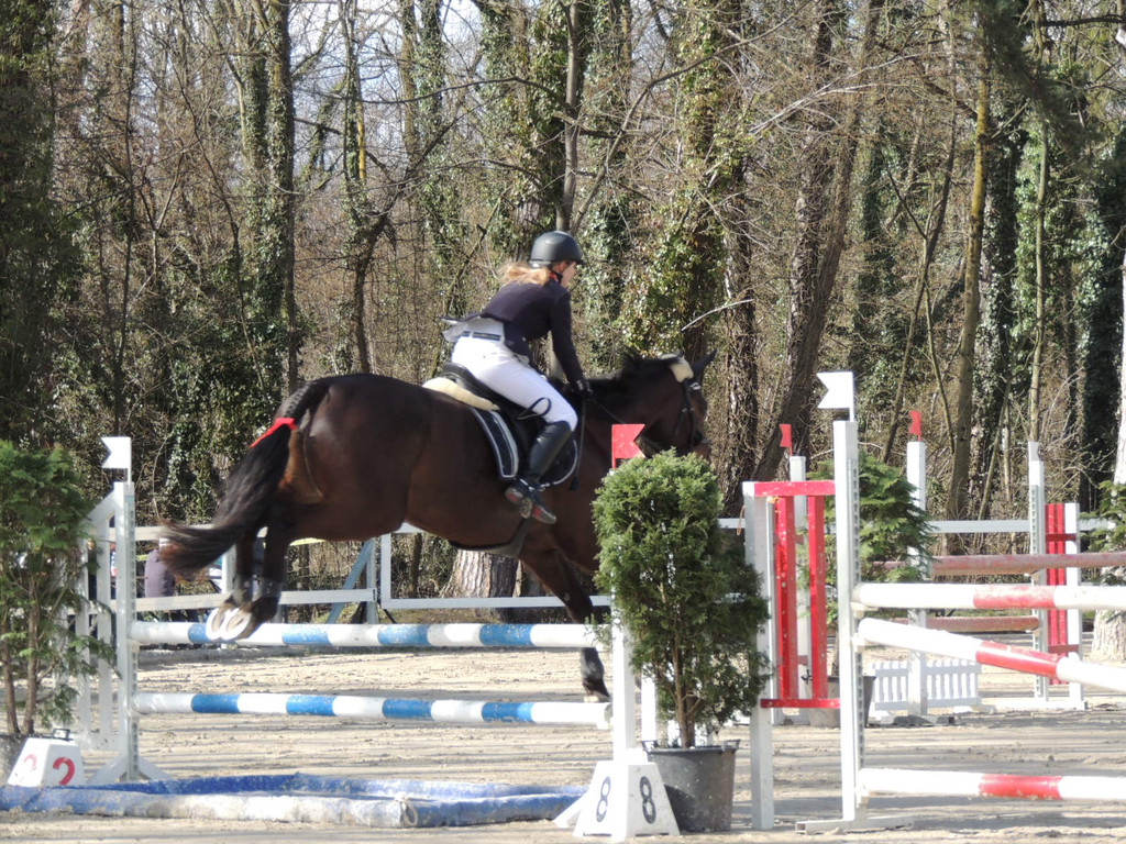 DSCN3213_JPG-1366238019