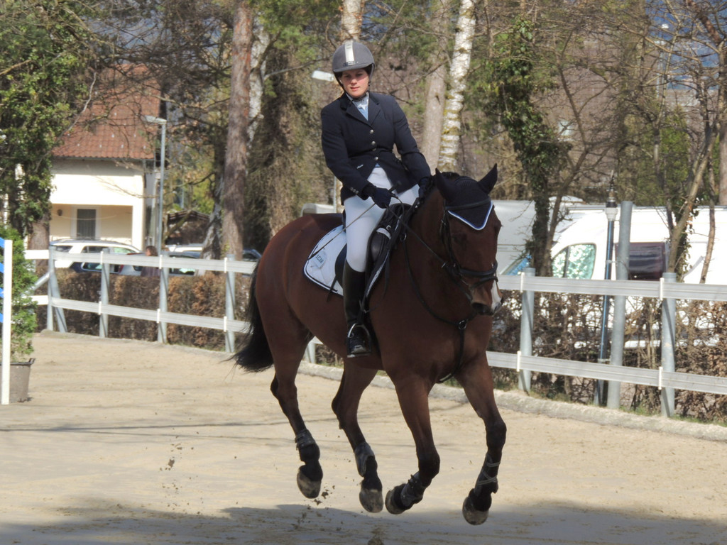 DSCN3214_JPG-1366238023