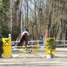 DSCN3215_JPG-1366238027